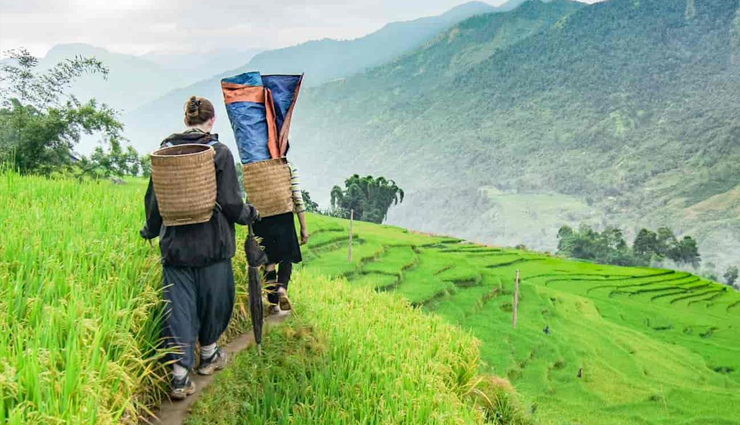 adventure activities in vietnam,vietnam adventure experiences,must-try adventures in vietnam,vietnam outdoor activities,extreme sports in vietnam,vietnam thrill-seeking adventures,vietnam water sports,jungle trekking in vietnam,vietnam cycling adventures,caving in vietnam