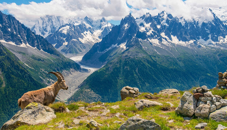 amazing treks,amazing treks in the world,camino de santiago,spain,everest base camp,nepal,w trek in torres del paine,chile,the haute route,france- switzerland,overland track,australia