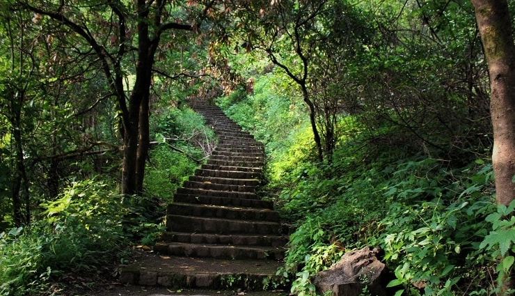 fort treks in maharashtra,maharashtra,treks in maharashtra,rajmachi,kalavantin fort trek,korigad fort trek,ratangad fort trek