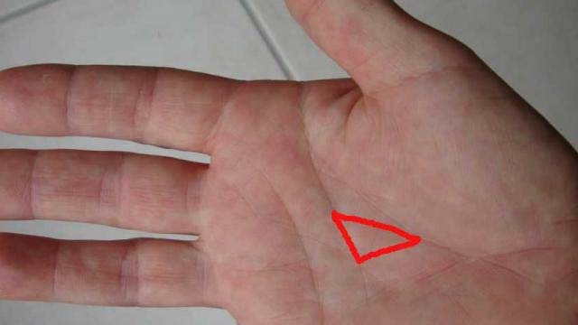 palmistry,money,wealth