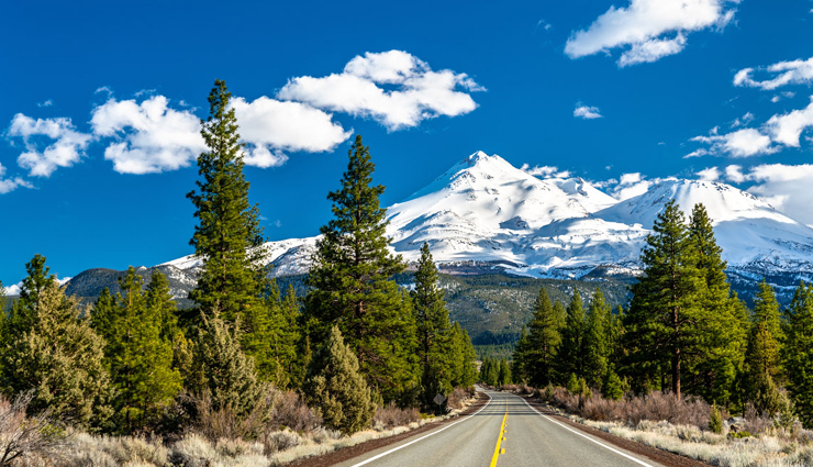 forest camping,forest camping across the world,world tourism,holidays,travel guide