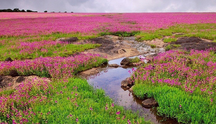 घूमने का रोमांचक अहसास दिलाते हैं भारत के ये गुमनाम पर्यटन स्थल, बनाएं यहां का ट्रिप hidden tourist places in india,unknown destinations in india,offbeat travel places in india,secret spots in india,unexplored places in india,exciting travel destinations india,unique holiday spots in india,travel gems in india,undiscovered tourist spots india,india tourism hidden gems,exciting hidden tourist places to visit in india,offbeat travel destinations for a unique holiday in india,secret spots in india for adventurous travelers,unexplored places in india for an exciting trip,hidden gems in india to visit on your next holiday