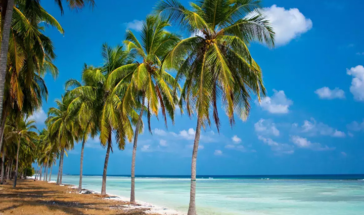 despite being an indian citizen you cannot travel to these places without ilp permit,holiday,travel,tourism