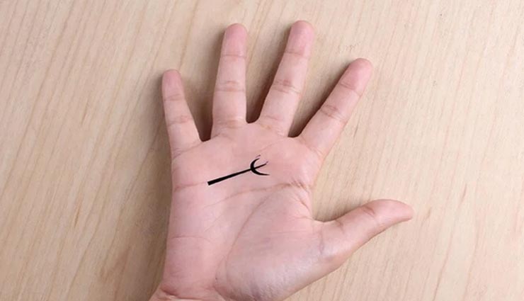 astrology tips,astrology tips in hindi,palm good sign,palmistry,wealth and happiness in life