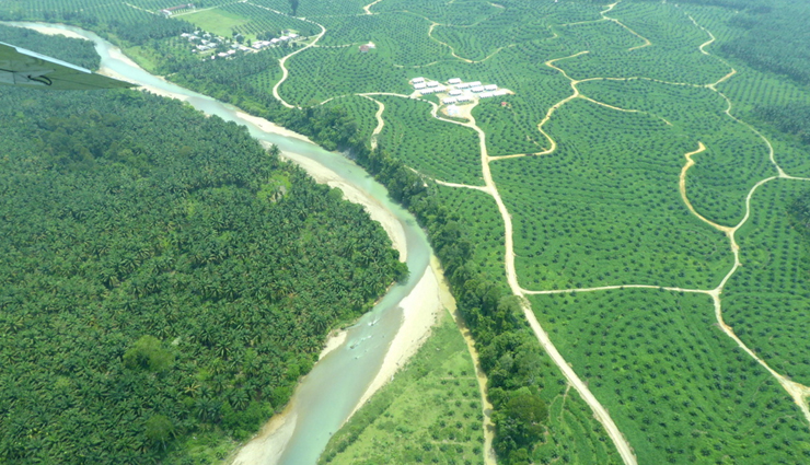 unesco sites that are in danger,world unesco sites that are in danger,sites that are in danger,travel,holidays,travel guide,travel tips