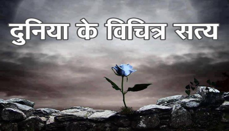 अद्भुत जानकारी, दुनिया के विचित्र सत्य जिनके बारें में शायद आपने नहीं सुना होगा
