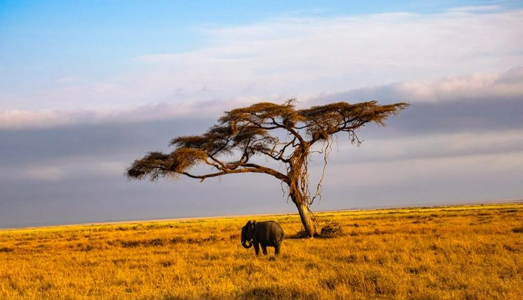 kenya travel,places to visit in kenya,kenya tourism,nairobi,maasai mara,great rift valley,mount kenya,kenyan wildlife,kenya safari,kenyan culture,mombasa beaches,east africa travel,kenya national parks,swahili culture