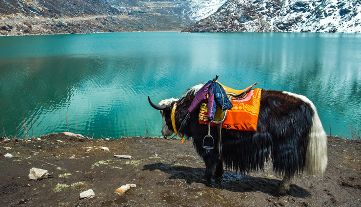 sikkim,gangtok,yuksom,tsomgo lake,pelling,rumtek monastery,holidays,travel