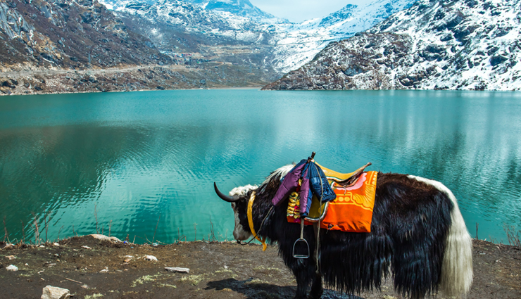 beautiful lakes in india,scenic lakes to visit in india,must-visit lakes in india,india most beautiful lakes,serene lakes in india,top lake destinations in india,natural wonders indian lakes,lake tourism in india,best lake views in india,explore india stunning lakes