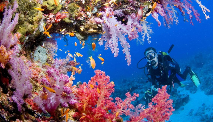 southeast asia,diving in southeast asia,amazing places to try diving in southeast asia,raja ampat,indonesia,tubbataha reef,philippines,pulau sipadan,malaysia,surin islands,thailand,bunaken,indonesia,coron,philippines,wakatobi islands,indonesia,koh tao,komodo national park,travel.holidays,travel guide