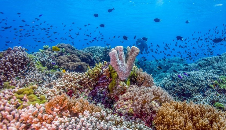 unesco,world heritage sites,asia,travel,holidays,travel guide,elephanta caves,ancient city of ping yao,church of the nativity,putorana plateau,singapore botanic gardens,lumbini,dazu rock carvings,incense routedesert cities in the negev,sulaiman-too sacred mountain,tubbataha reefs natural park