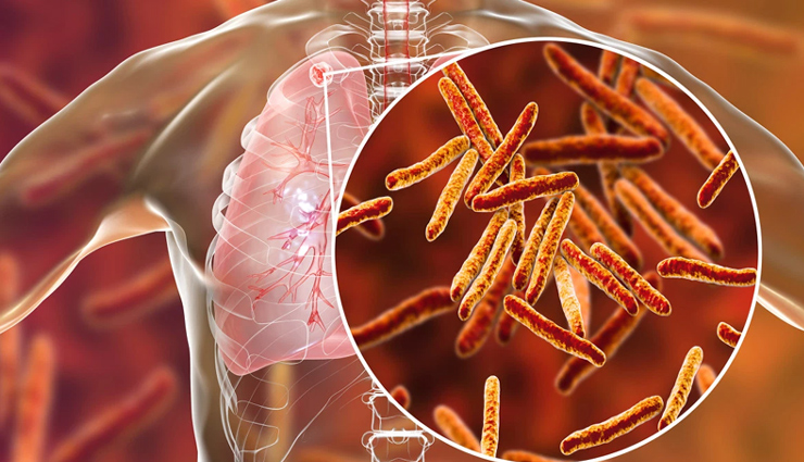 mint,health benefits of mint,mint health benefits,healthy food mint,mint for good health,Health,healthy living,Health tips