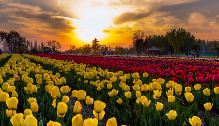 valentine,valentine day,valentine special,love tourist destinations,tourism,holidays