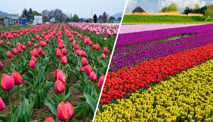 major tourist attractions in jammu and kashmir,top places to visit in jammu and kashmir,jammu and kashmir travel destinations,must-see sites in jammu and kashmir,scenic spots in jammu and kashmir,jammu and kashmirs popular tourist sites,historical landmarks in jammu and kashmir,natural wonders of jammu and kashmir,jammu and kashmirs cultural attractions,iconic places to explore in jammu and kashmir,jammu and kashmirs breathtaking landscapes,hidden gems in jammu and kashmir,jammu and kashmirs adventure tourism spots,jammu and kashmirs religious sites,tourist activities in jammu and kashmir,jammu and kashmirs historical sites,sightseeing in jammu and kashmir,exploring jammu and kashmirs beauty,jammu and kashmirs architectural marvels,jammu and kashmirs natural reserves,cultural experiences in jammu and kashmir,jammu and kashmirs off-the-beaten-path attractions,jammu and kashmirs picturesque locations,adventure and nature tourism in jammu and kashmir,jammu and kashmirs travel recommendations