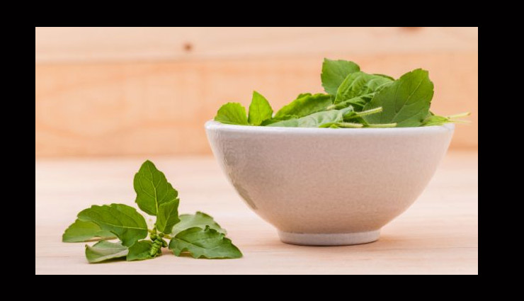 herbs that you must have in your kitchen,must have herbs,herbs for kitchen,household tips,curry leaves or meethi neem,bay leaves or tej patta,pudina,methi
