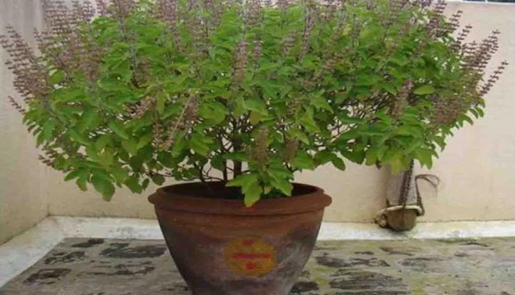 astrology tips,astrology tips in hindi,astrology remedy,money remedies