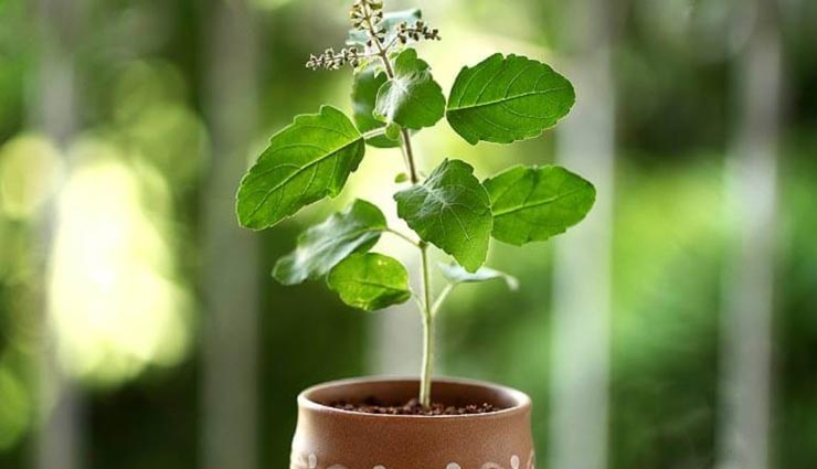 astrology tips,astrology tips in hindi,time of death,garud puran