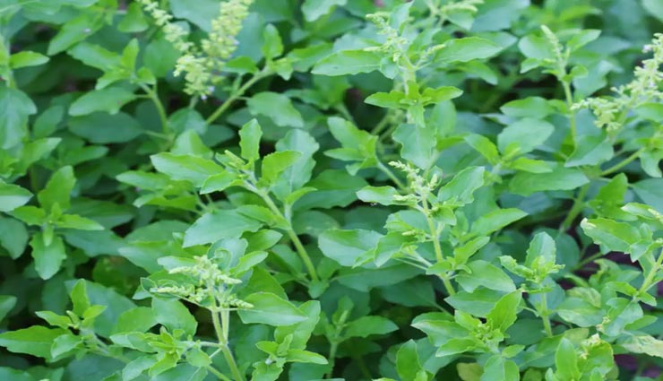 astrology tips,astrology tips in hindi,evening works,workd bring poverty