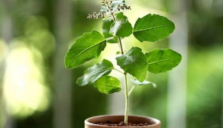 amnesia home remedies,memory enhancement techniques,home treatments for memory loss,natural remedies for amnesia,memory-boosting activities at home,diy memory improvement,cognitive exercises for amnesia,herbal remedies for memory loss,home-based memory enhancement,mental stimulation for amnesia,holistic memory recovery at home,brain health home remedies,memory-enhancing foods,amnesia management strategies,lifestyle changes for memory improvement,diy memory-boosting techniques,home interventions for amnesia,effective home treatments for forgetfulness,amnesia coping strategies at home,natural therapies for memory loss