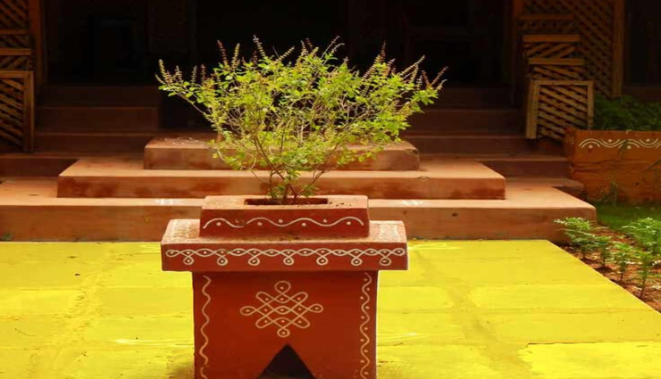 astrology tips,astrology tips in hindi,tulsi poojan