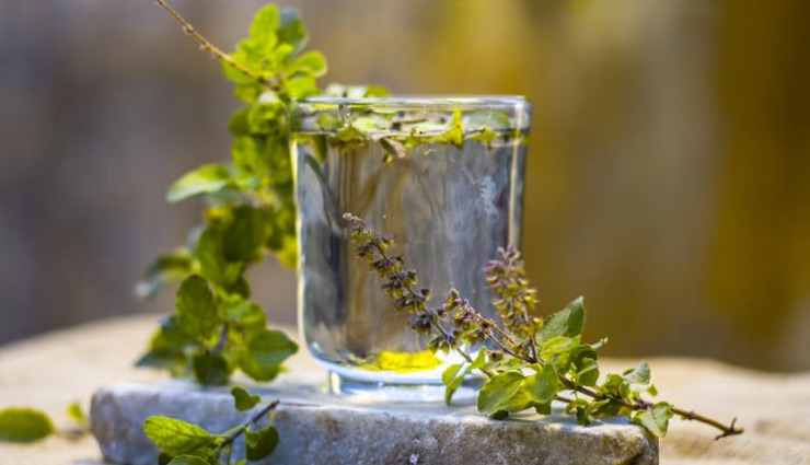 giloy,giloy leaf,giloy juice,immunity,immunity booster,giloy benefits,giloy disadvantages,coronavirus,infection,covid-19,Health,health benefits