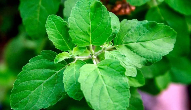 headache,home remedies to get rid of headache,headache remedies,Health,Health tips