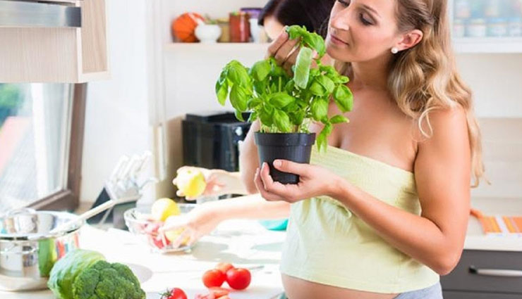 गर्भावस्था के दौरान सेवन करे तुलसी के पत्तो को, जच्चा-बच्चा दोनों रहेंगे स्वस्थ