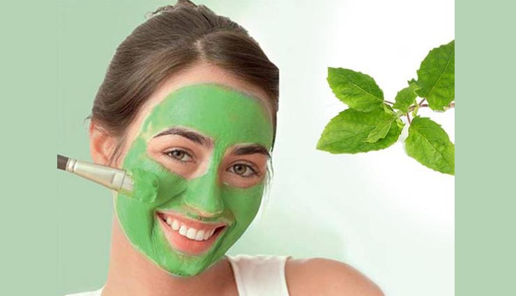 tulsi face pack,home made face pack,face pack for glowing skin,tulsi leaves for glowing skin,skin care tips,beauty tips