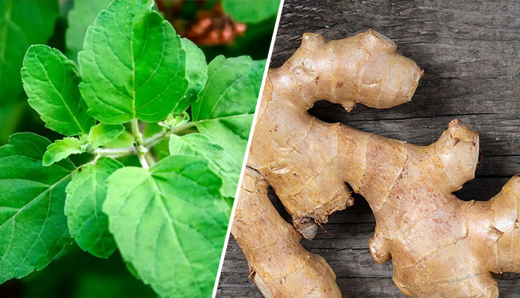 kadha recipes,immunity boosting kadha,monsoon season kadha,herbal kadha for immunity,ayurvedic kadha recipes,natural remedies for monsoon immunity,tulsi and ginger kadha,triphala kadha benefits,ashwagandha and brahmi kadha,amla and black pepper kadha,herbal potions for rainy season,traditional immunity boosters,indian monsoon wellness recipes,herbal concoctions for immune system,homemade kadha remedies