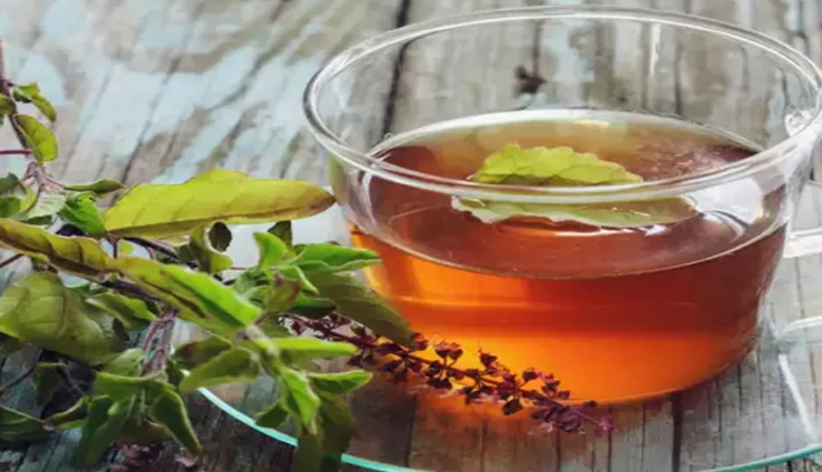 Health tips,health tips in hindi,home remedies,dengue,blood platelets