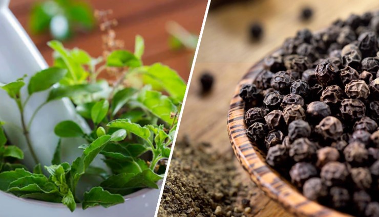 सर्दी-खांसी के लिए 7 असरदार घरेलू नुस्खे, बिना दवा दो दिन में पाएं राहत home remedies for cold and cough,natural remedies for cold and cough relief,cold and cough treatment without medicine,quick relief from cold and cough,remedies for sore throat and cough,best remedies for cold and congestion,how to treat cold and cough at home,effective remedies for cough and cold in two days,natural ways to relieve cold symptoms,herbal remedies for cold and cough