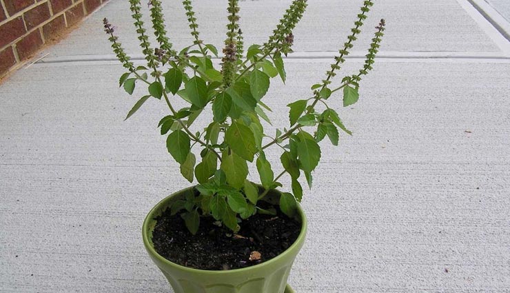 इन उपायों से दूर करे घर की नकारात्मकता, जीवन में आएगी खुशियां vastu tips,vastu tips in hindi,positive energy,remove negative energy