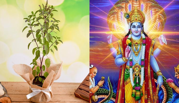 astrology tips,astrology tips in hindi,thursday rules