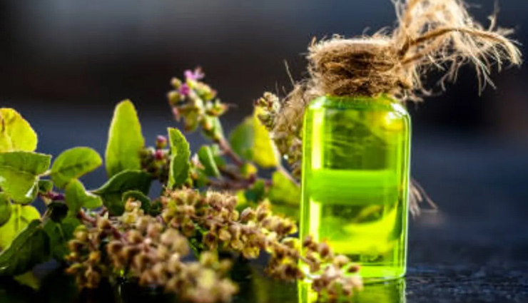 tulsi for skin,diy tulsi skincare,benefits of tulsi for skin,tulsi face mask for acne,tulsi and neem paste for acne,tulsi toner for glowing skin,tulsi oil for skin,tulsi anti-aging properties,natural skincare with tulsi,tulsi for clear skin,tulsi home remedies,tulsi face pack for brightening,tulsi and yogurt face pack,tulsi remedies for acne