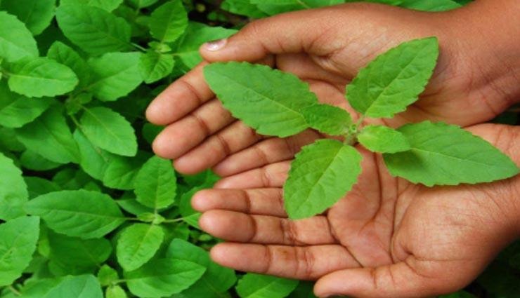 गुरुवार के इस एक उपाय से मालामाल हो जाएंगे आप, आइये जानें