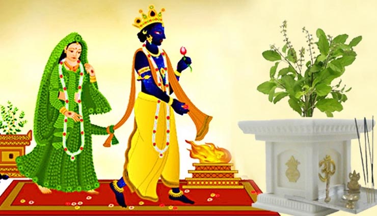 astrology,puja,puja path,dev uthani ekadashi 2019,dev uthani pooja,devshayani ekadashi,dev uthani ekadashi puja,tulsi vivah,tulsi puja 2019,measures to please goddess lakshmi on dev uthani ekadashi