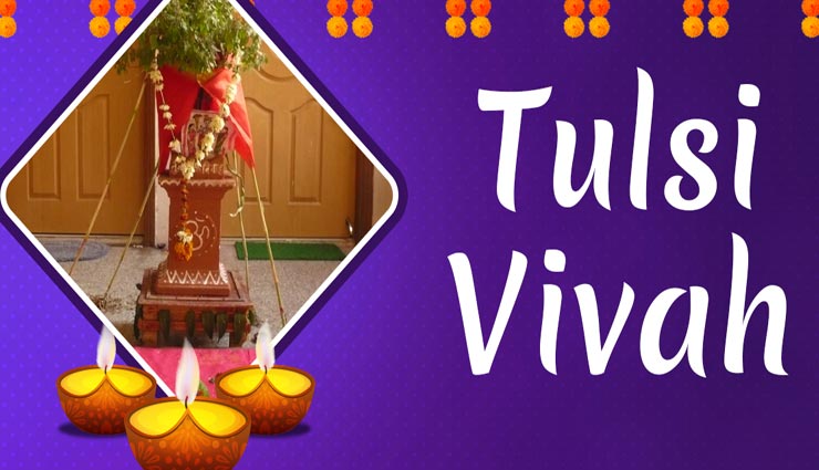 Tulsi Vivah 2019: तुलसी विवाह से जुडी पूरी जानकारी, जानें शुभ मुहूर्त, पूजा विधि, कथा और आवश्यक सामग्री