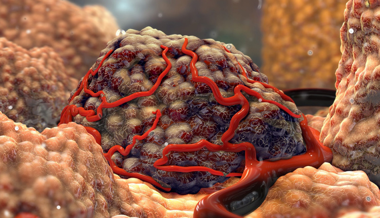 alsi seeds health benefits,flex seeds nutritional advantages,alsi seeds for wellness,flex seeds health properties,alsi seeds dietary benefits,flex seeds advantages for health,alsi seeds nutritional value,flex seeds as a superfood,alsi seeds for a healthy diet,flex seeds health impacts,alsi seeds uses for health,flex seeds nutritional benefits,alsi seeds superfood advantages,flex seeds for dietary health,alsi seeds rich in nutrients,flex seeds wellness benefits,alsi seeds herbal advantages,flex seeds for overall health,alsi seeds and wellness benefits,flex seeds dietary advantages