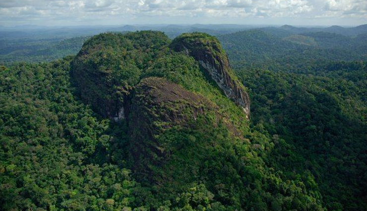 largest forests in the world,worlds biggest forests,top 10 largest forests,giant forests on earth,biggest woodland ecosystems,vast forested regions,earths grand forests,largest forested areas,forest biomes worldwide,expansive woodland landscapes