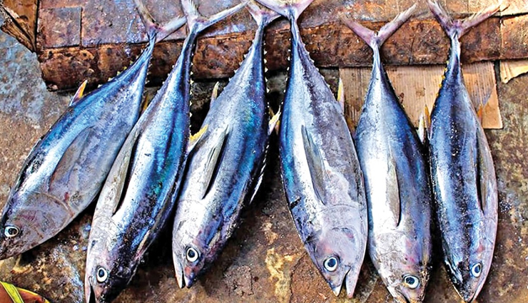 omega-3 rich tuna benefits,protein in tuna health benefits,tuna heart health benefits,vitamin d in tuna benefits,tuna anti-inflammatory properties,tuna and brain health benefits,tuna role in weight management,tuna fish and nutrient density,tuna for immune support,selenium benefits in tuna fish