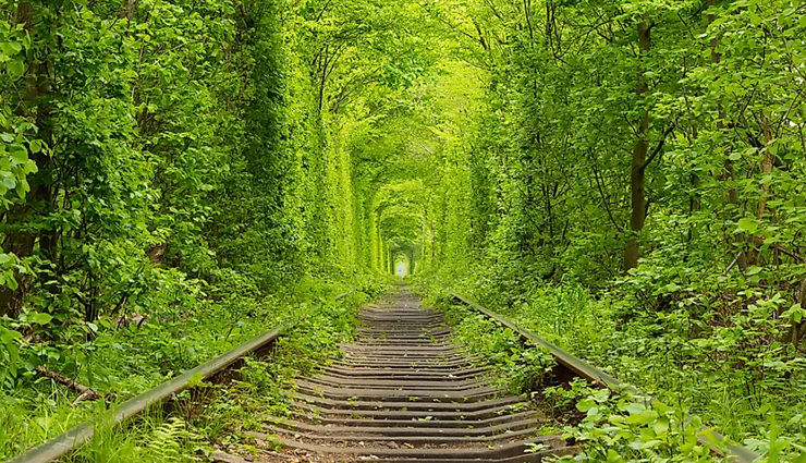 unusual tunnels,unusual tunnels in the world,the tower tunnel,japan,tunnel log,california,usa,tunnel of love,ukraine,tunnel rock,california,usa,tunnel of fish,spain,the l tunnel,illinois,usa