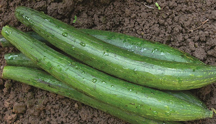 Torai Helps To Enhance Vision, Here are 5 More Benefits