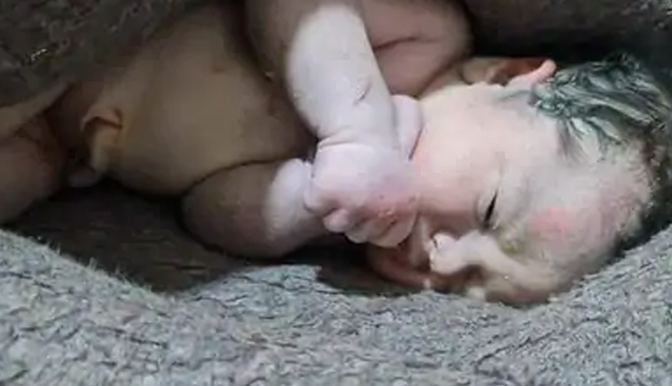 दर्दनाक कहानियां: मलबे के नीचे मां ने बेटी को दिया जन्म लेकिन खुद ने तोड़ा दम, मरे बच्चे से लिपटकर रोता रहा पिता, जख्मी बच्चे का पूरा परिवार खत्म turkey syria earthquake,turkey news,syria news,earthquake news