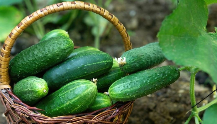 dark circles,turmeric for dark circles,eye care tips,skin care tips,beauty tips