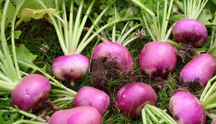 6 Beauty Benefits of Consuming Turnips
