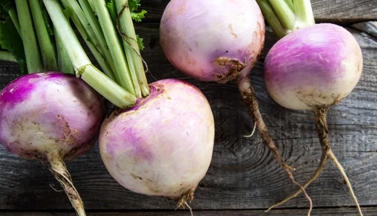 body odor change,body odor treatment,body odor during pregnancy,body odor in children,body odor smells like onions,body odor after pregnancy,body odor after shower,body odor pills,body odor smells,body odor and diet,body odor and menopause,body odor after surgery,body odor and pregnancy,body odor and diabetes,a body odor problem,a natural body odor,body odor breastfeeding,body odor before period,body odor body wash,body odor bacteria,body odor before puberty,body odor between legs,body odor birth control,vitamin b body odor,body odor condition,body odor covid,body odor child,body odor change pregnancy,body odor cancer,vitamin c body odor,body odor during period,body odor disorder,body odor during detox,body odor diseases,vitamin d deficiency body odor,vitamin d supplement body odor,body odor early pregnancy,body odor early pregnancy sign,body odor even after shower,body odor even with deodorant,body odor eliminator spray,body odor essential oils,vitamin e body odor,body odor from alcohol detox,body odor from alcohol,body odor from my chest,body odor from diabetes,body odor hormones,body odor home remedy,body odor how to get rid of it,body odor hacks,body odor health issues