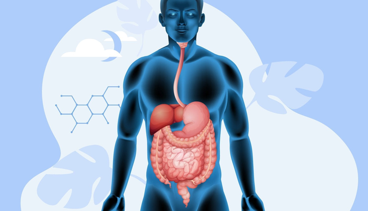 turnips health benefits,benefits of eating turnips,turnips nutrition benefits,well-known turnip health benefits,turnips for health and wellness,nutritional value of turnips,turnips and their health advantages,turnip benefits for the body,why turnips are healthy,antioxidants in turnips,vitamins in turnips,minerals in turnips,dietary fiber in turnips,polyphenols in turnips,cruciferous vegetables health benefits,turnips and heart health,turnips for diabetes management,turnips and anti-inflammatory properties,digestive health benefits of turnips,turnips and cancer prevention