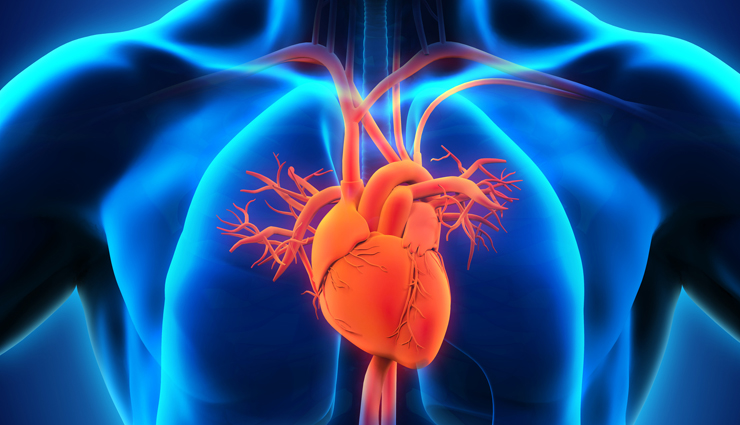 turnips,health benefits of turnips,Health tips,fitness tips