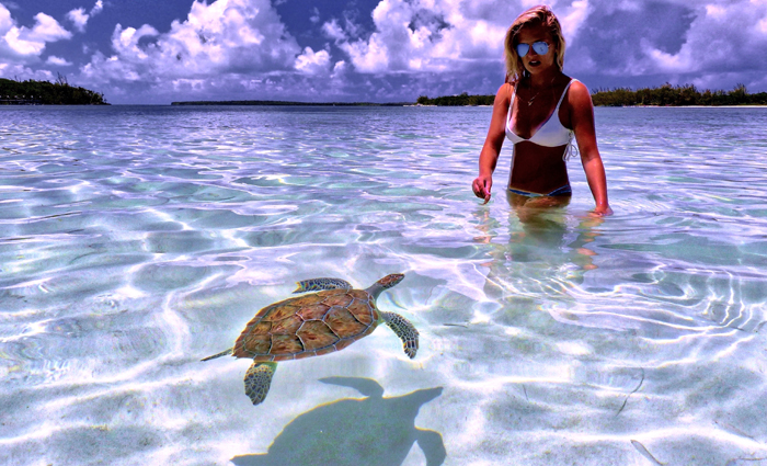 bahamas,beautiful places in bahamas,beautiful places to visit in bahamas,bahamas travel,bahamas tourism