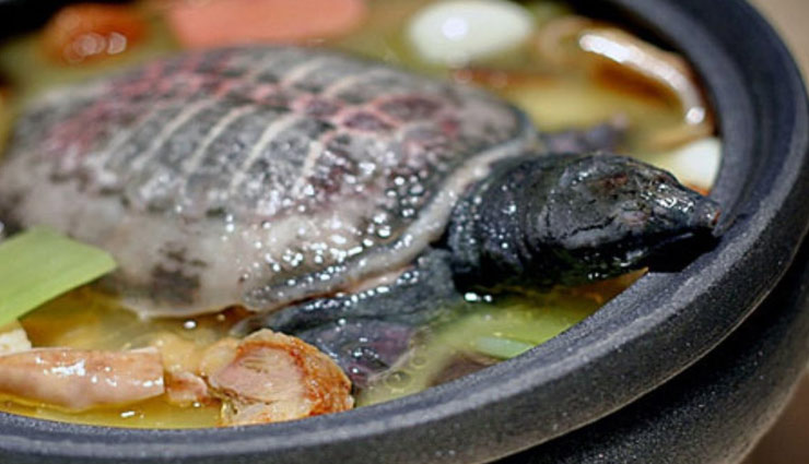 weird story,food dishes,weird food